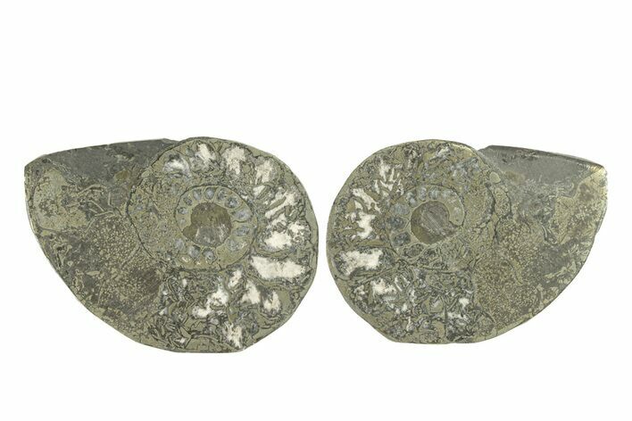 Pyritized Cut Ammonite Fossil Pair - Morocco #276693